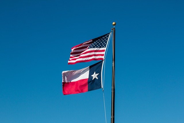 Thumbnail of USA and Texas Flag